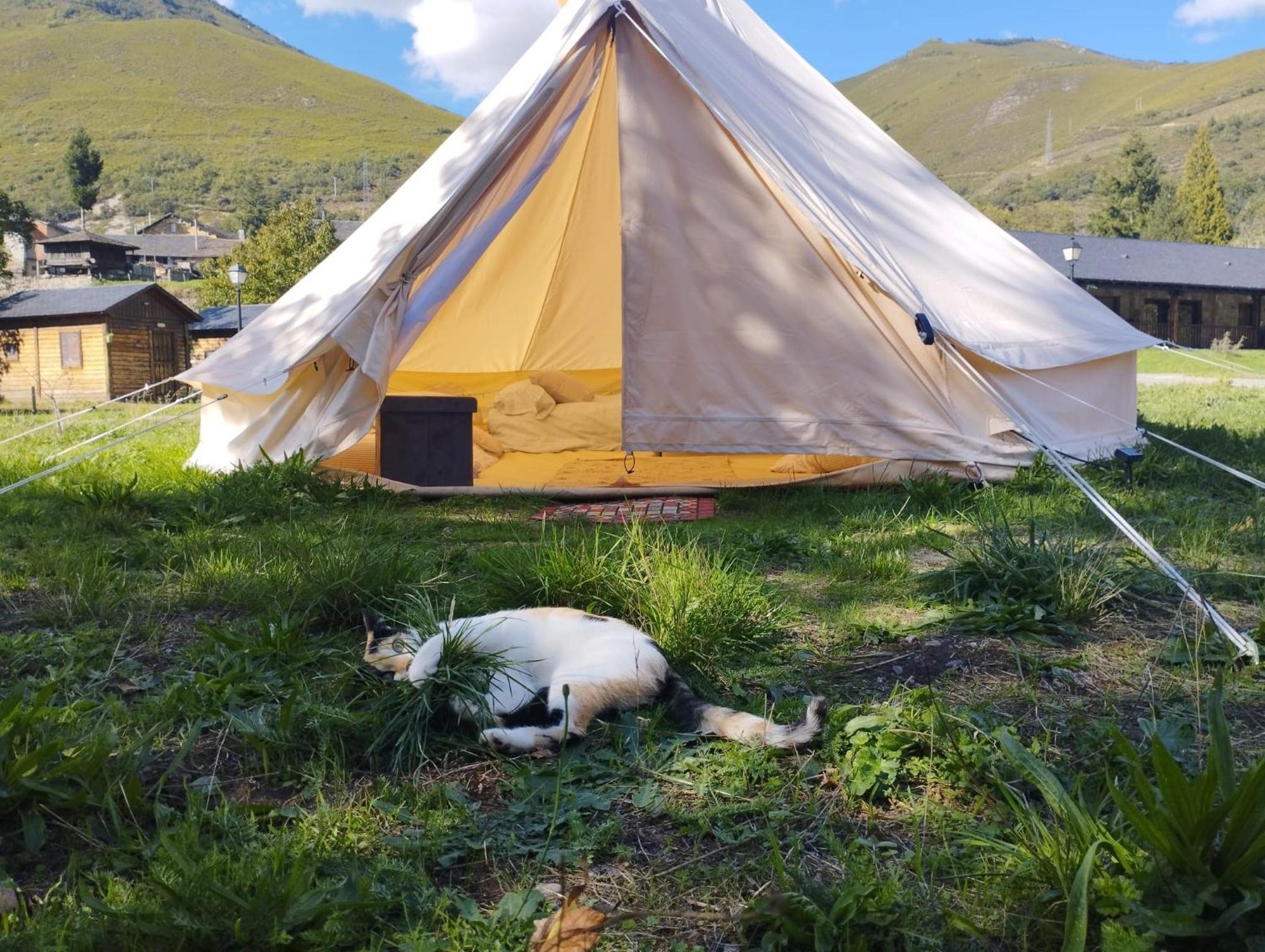 Camping La Zarapica - Palacios Del Sil Esterno foto